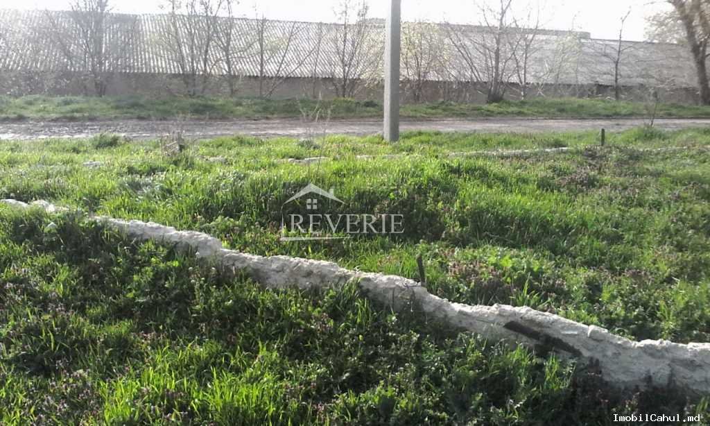 1-0-18137.  For Sale Agricultural Plot of Land Roşu 6500€