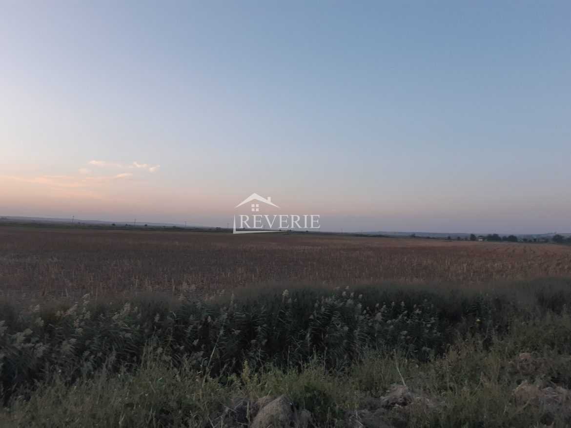 1-0-33826.  For Sale Agricultural Plot of Land Cahul 600000€
