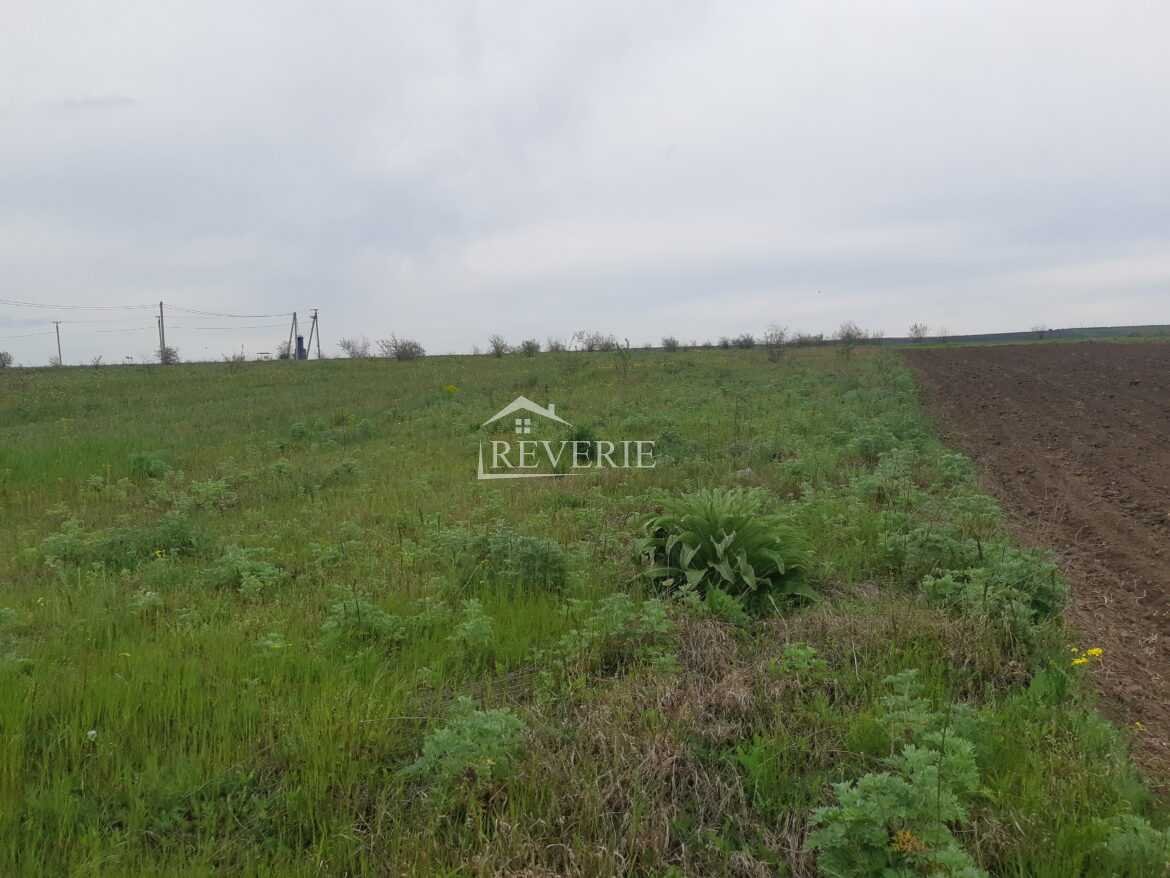 1-0-51727.  For Sale Plot of Land Crihana Veche 4500€