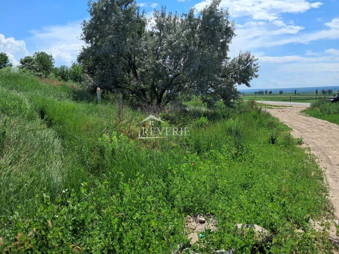 4-3-2-1-0-51640.  Se vinde Lot de Pământ Cahul,  PMK 10 30000€