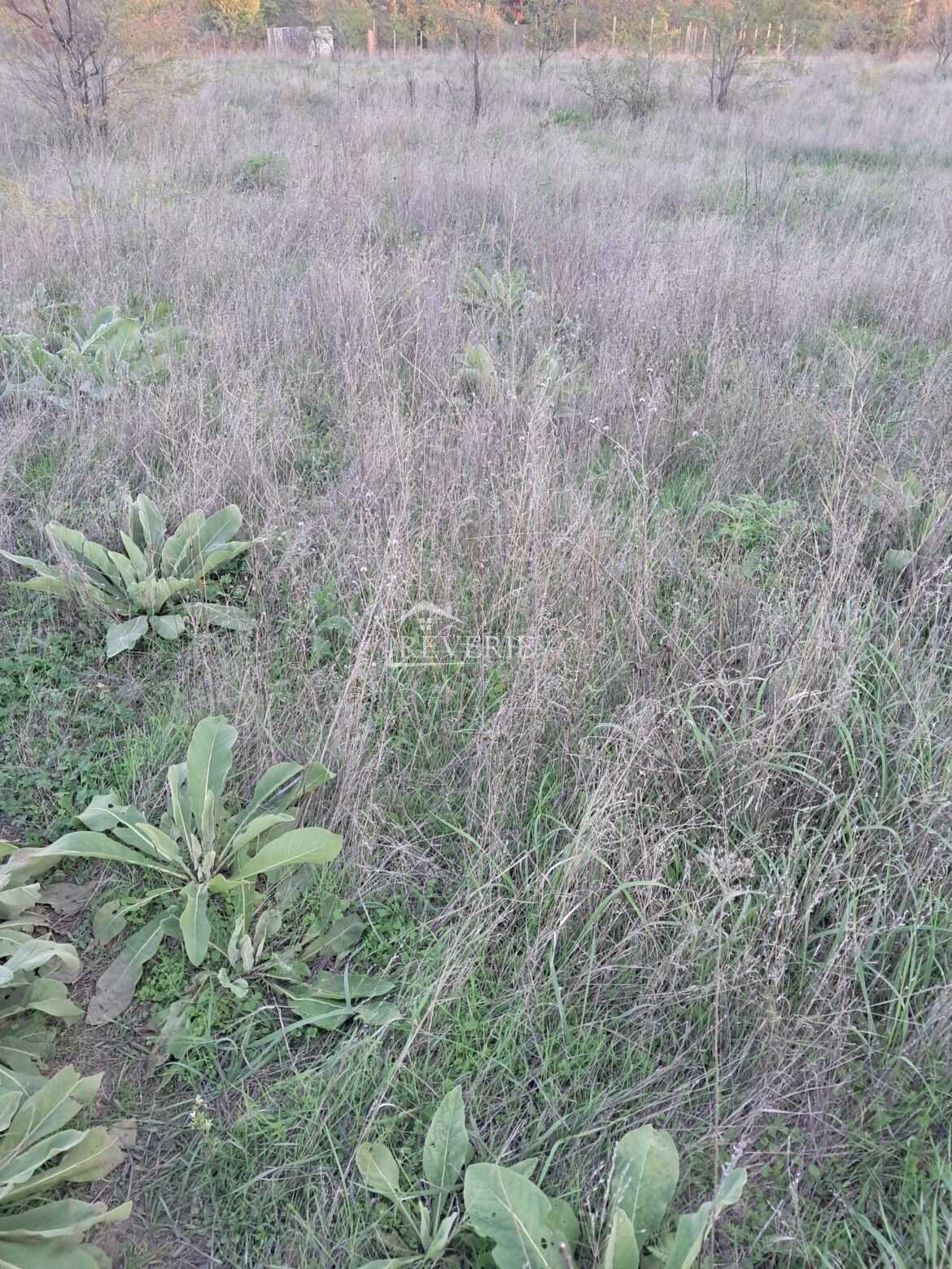 1-0-56690.  For Sale Land for construction Cahul,  Spirin 22500€