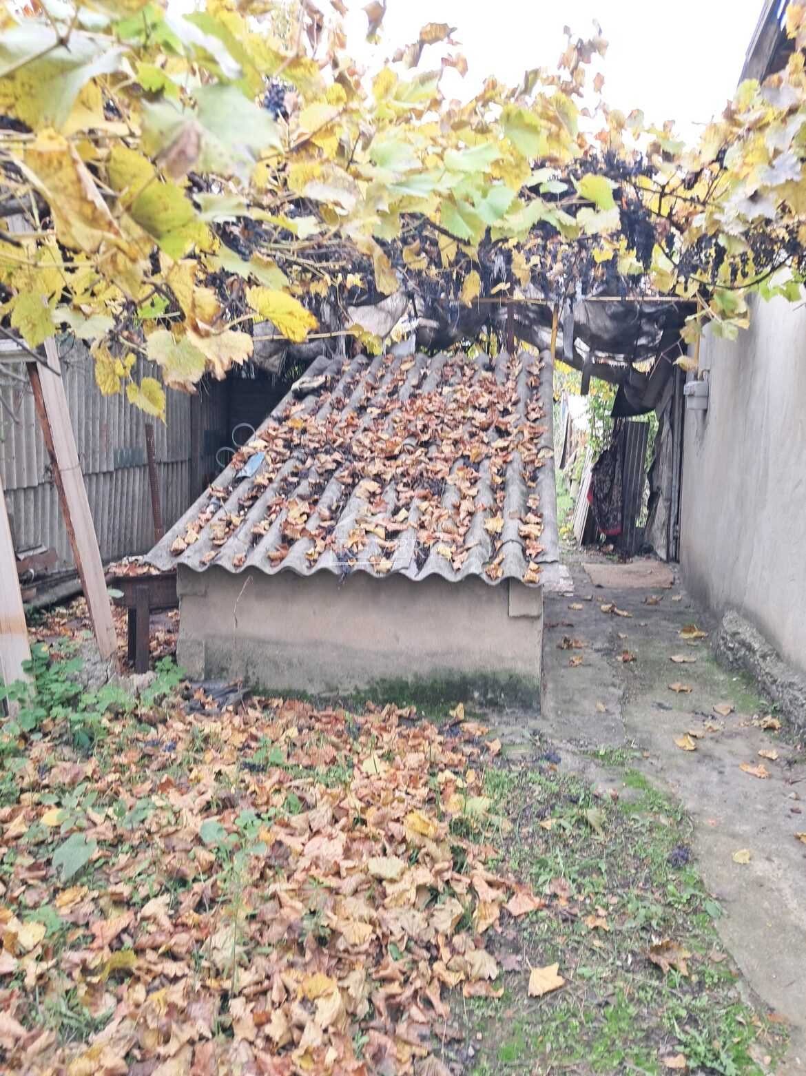 0-59392.  Продается Пол Дома Кахул,  Спирин 17000€