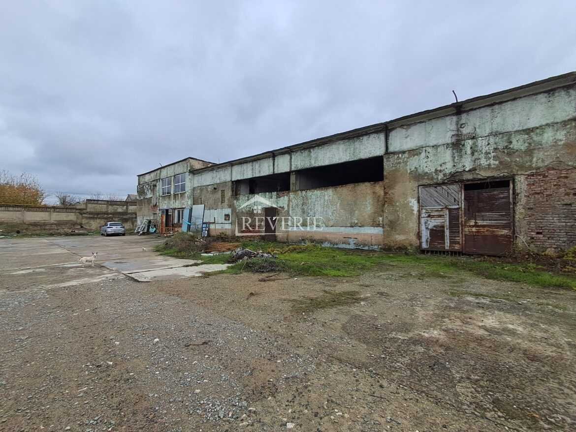 4-3-2-1-0-59506.  Продается Коммерция Кахул,  Липованка 125000€