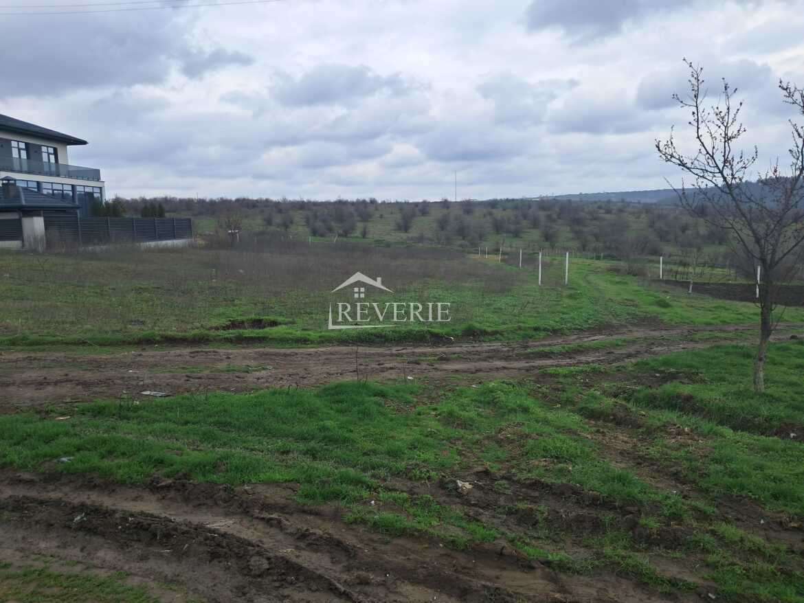 2-1-0-59952.  For Sale Land for construction Cahul,  Spirin 21500€