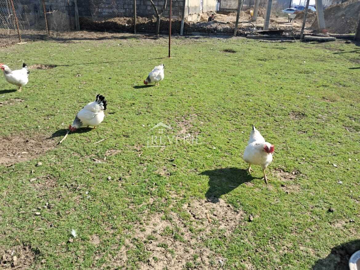 12-11-10-9-8-7-6-5-4-3-2-1-0-60395.  Продается Дом Кахул,  Гидро 82000€