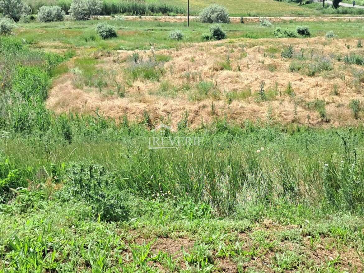 5-4-3-2-1-0-60832.  For Sale Land for construction Cahul,  Focsa 500000€