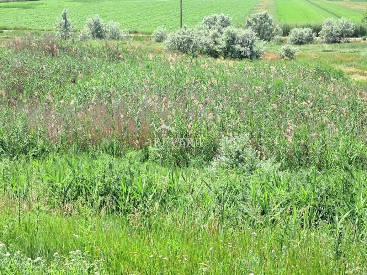 6-5-4-3-2-1-0-60832.  For Sale Land for construction Cahul,  Focsa 500000€