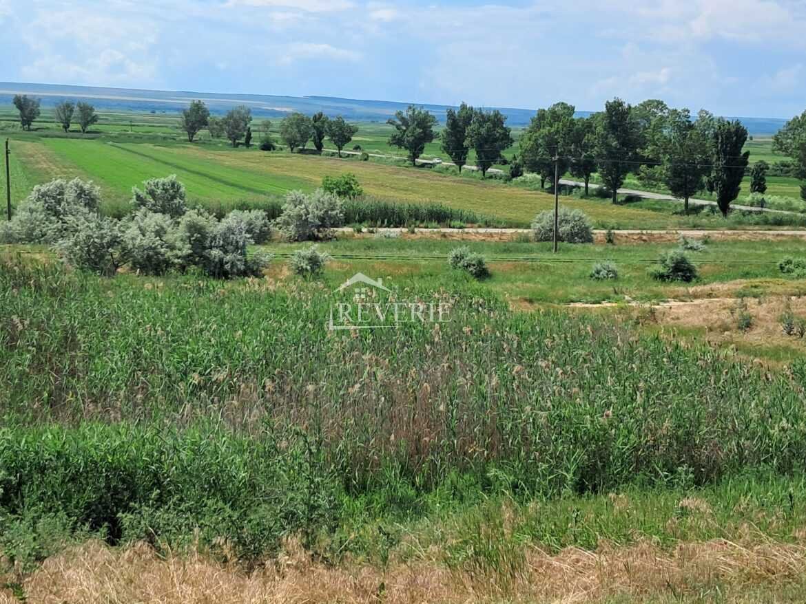 2-1-0-60832.  For Sale Land for construction Cahul,  Focsa 500000€