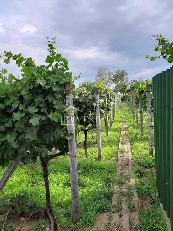 5-4-3-2-1-0-61194.  Se vinde Jumătate de Casă Giurgiulești 70000€