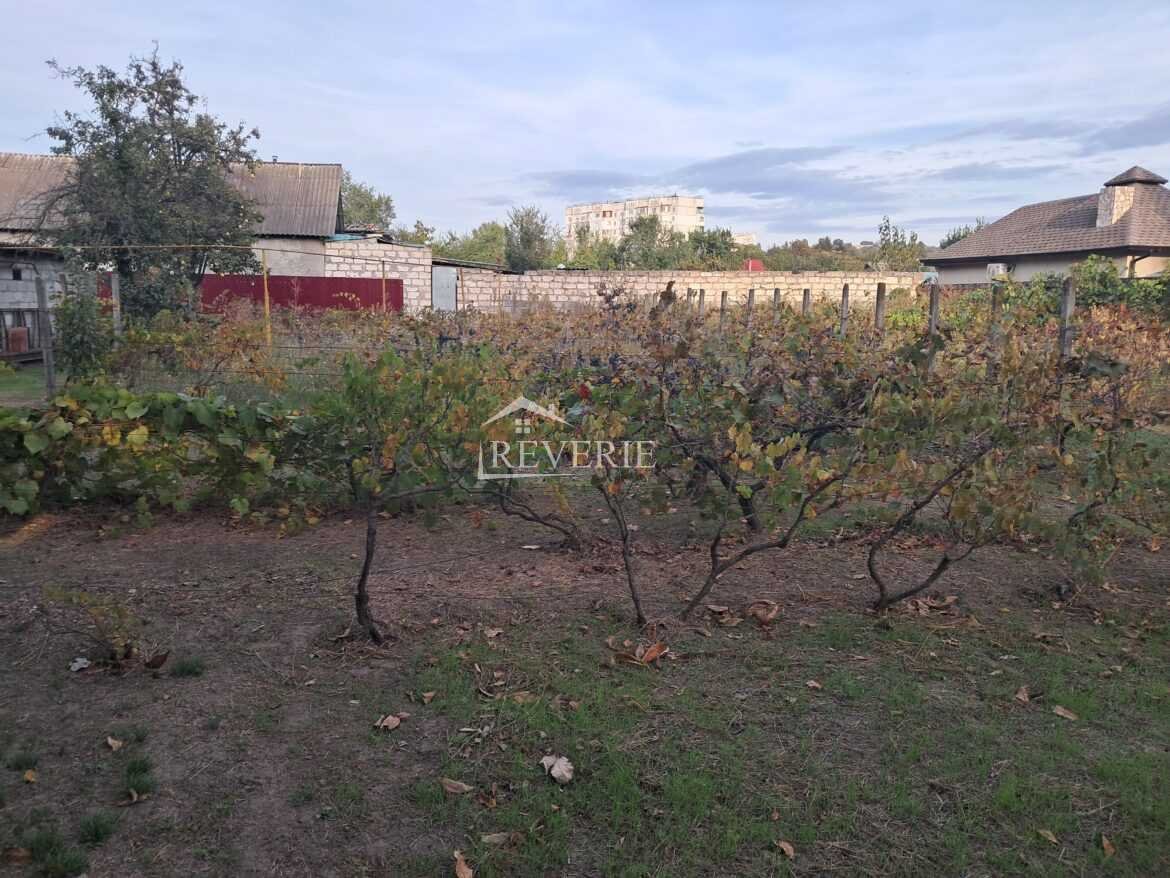 0-61496.  Se vinde Teren pentru constructii Cahul,  Autogara 43000€
