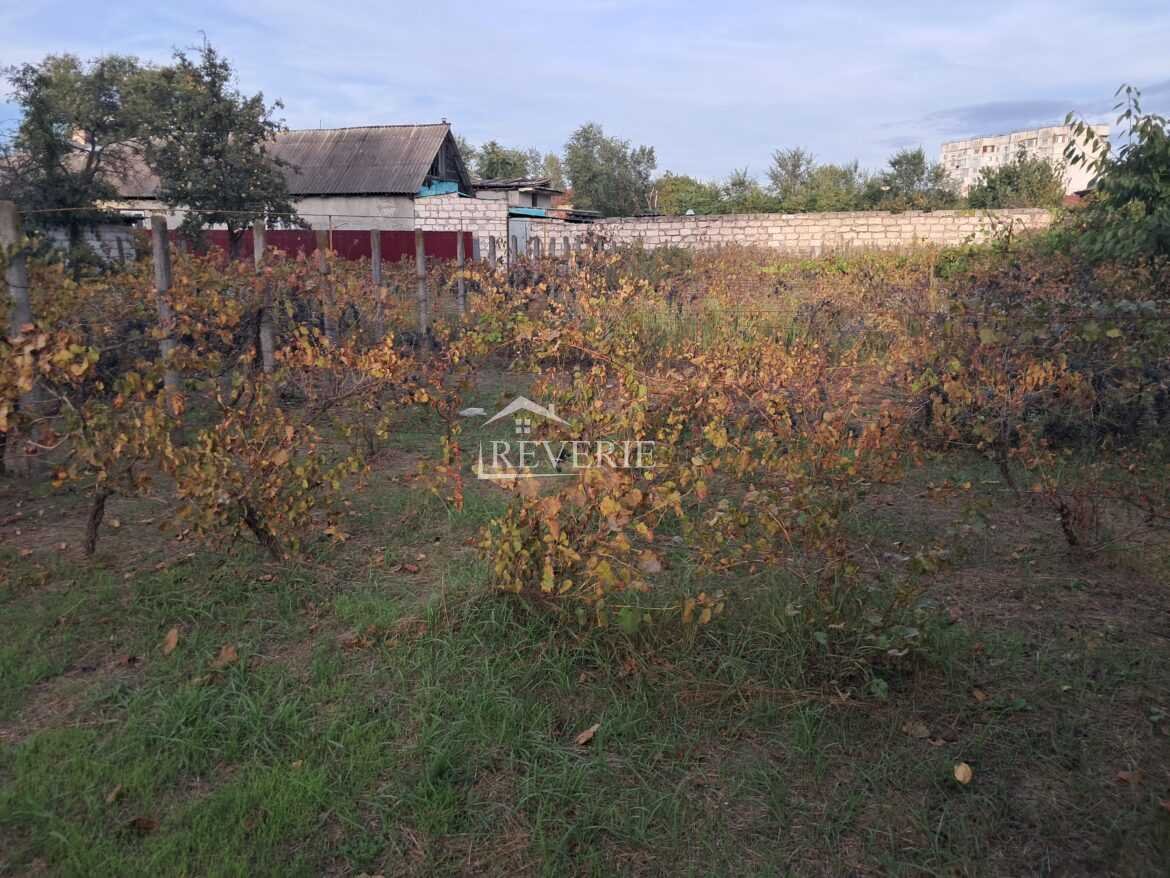 1-0-61496.  Se vinde Teren pentru constructii Cahul,  Autogara 43000€