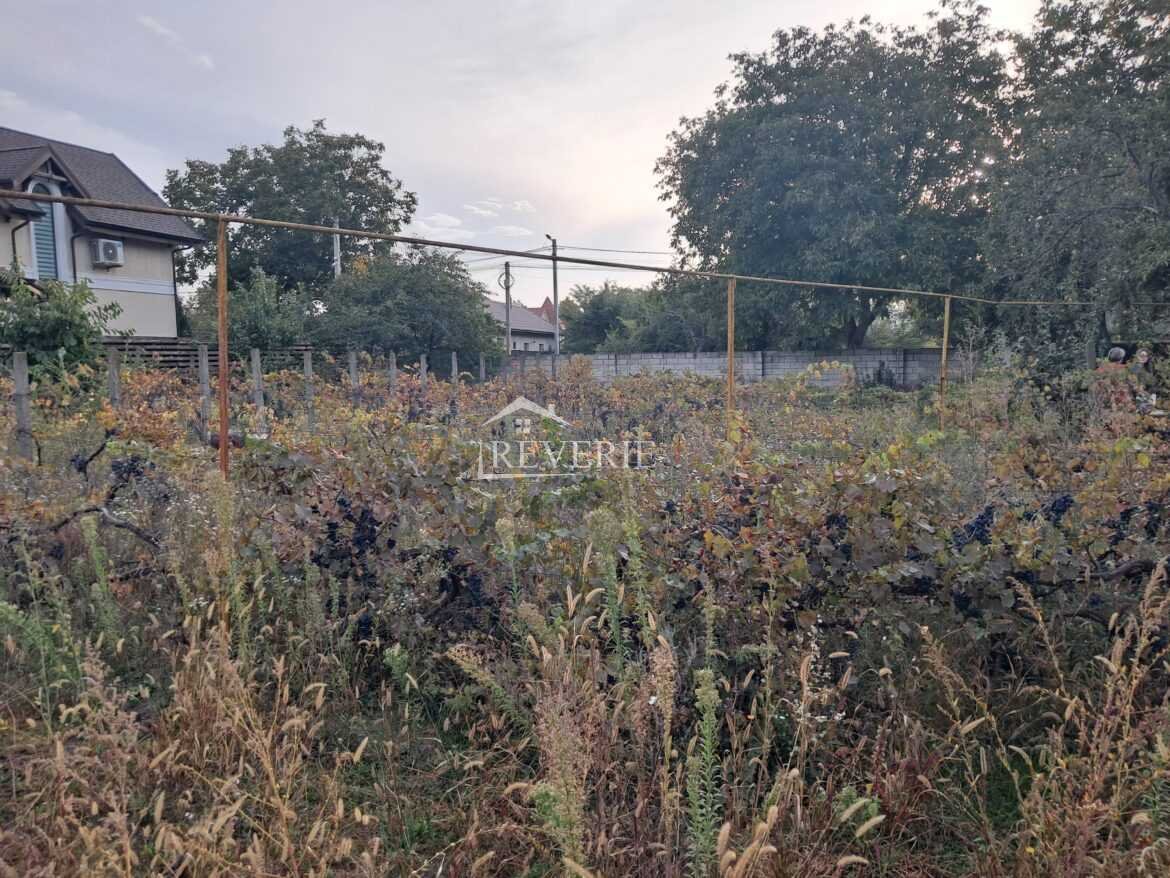 2-1-0-61496.  Se vinde Teren pentru constructii Cahul,  Autogara 43000€
