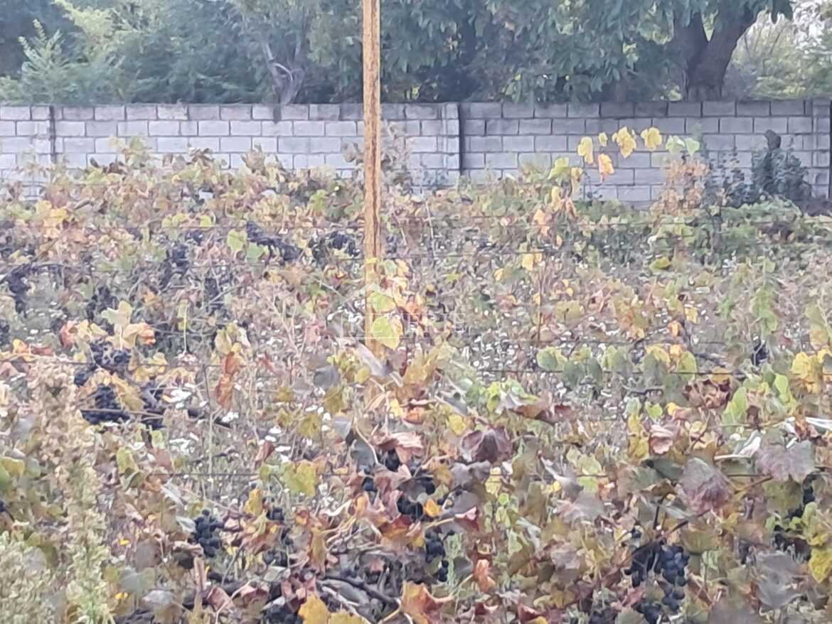3-2-1-0-61496.  Se vinde Teren pentru constructii Cahul,  Autogara 43000€
